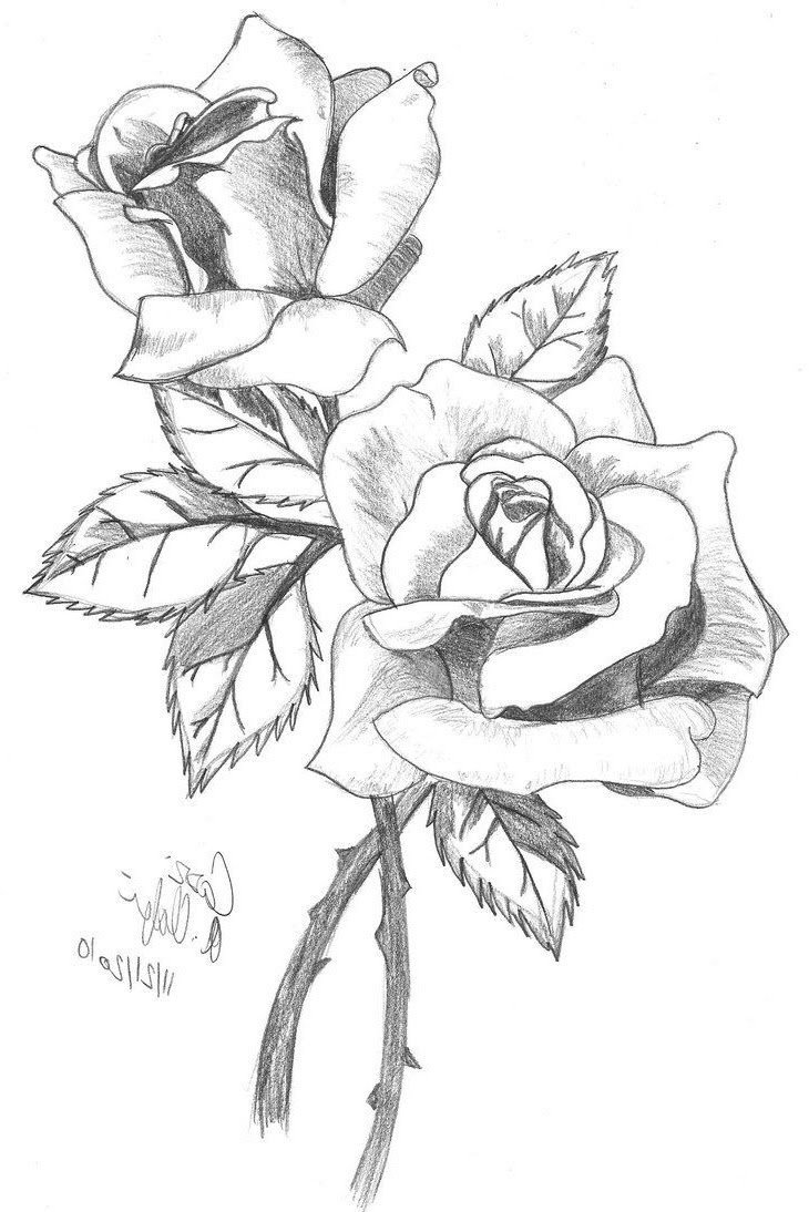 Hand Holding A Rose Drawing at GetDrawings Free download