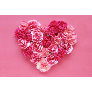 ピンク色 Gahag 著作権フリー写真 イラスト素材集