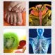 See All Slideshows