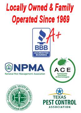 Dallas Fort Worth Pest Control Service Company