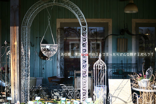 IMG_9076_web by d-l-b
