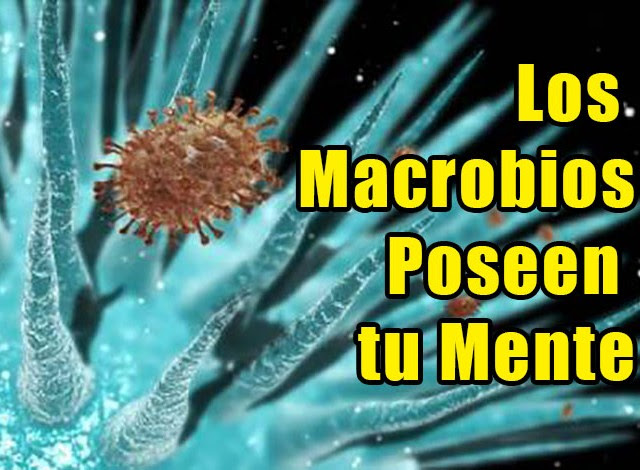 macrobios