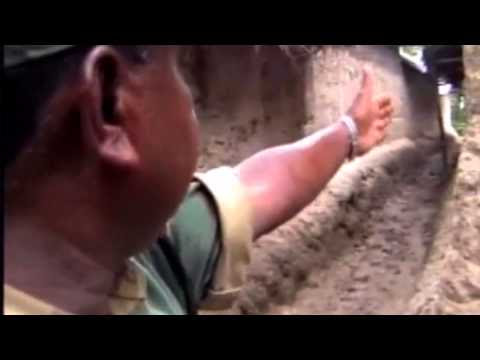 Indian Military Force Behavior in Border With Bangladesh Pakistan Kashmir and China