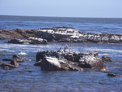 Sydafrika feb 2007 457