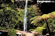 Tren Gaya 27+ Fasilitas Coban Rondo