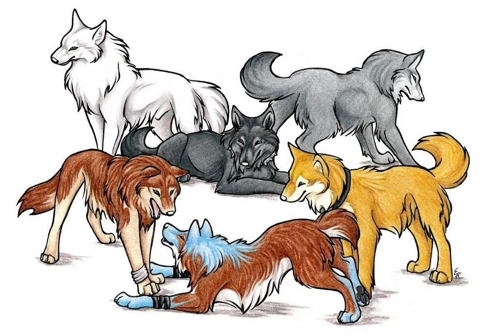 Wolf park clipart - Clipground