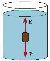 figura_31.jpg