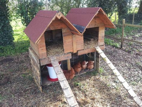 double pallet chicken coop  pallets