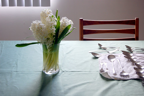 hyacinths