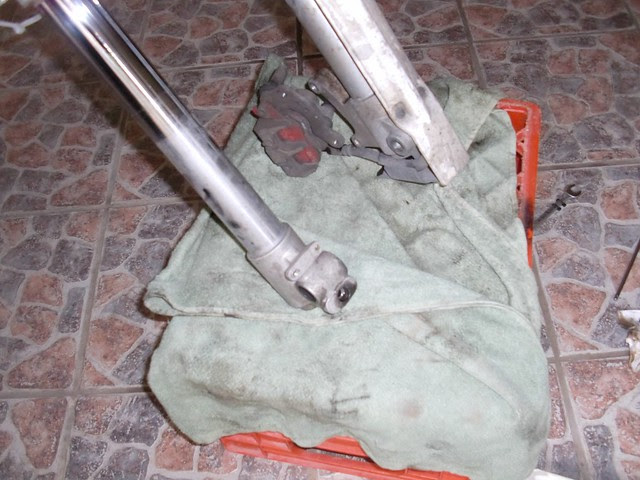 CIMG0384