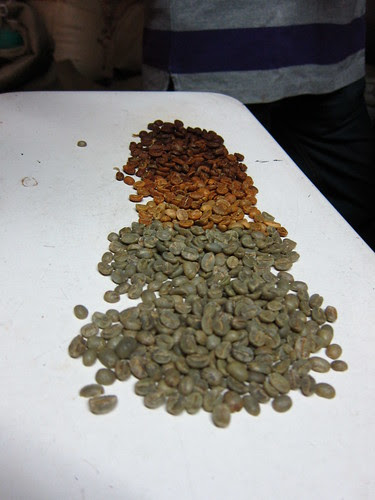 From green bean to roast in about 15 minutes