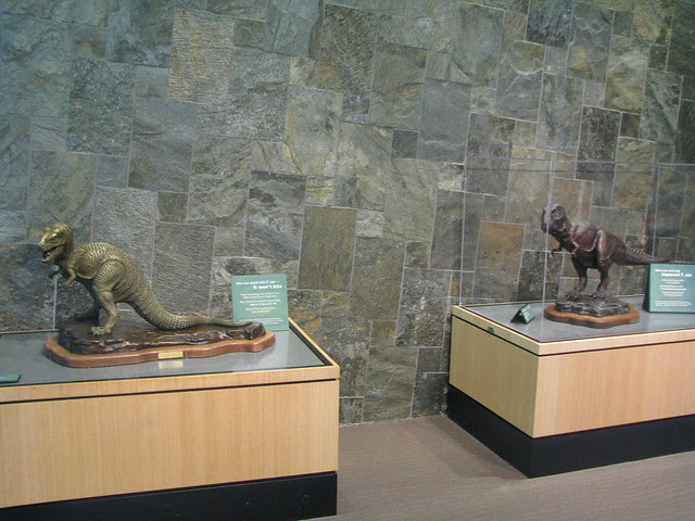 Two Tyrannosaurs