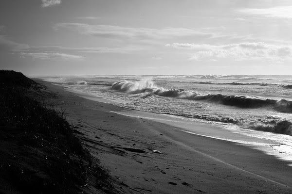 South Beach, Edgartown