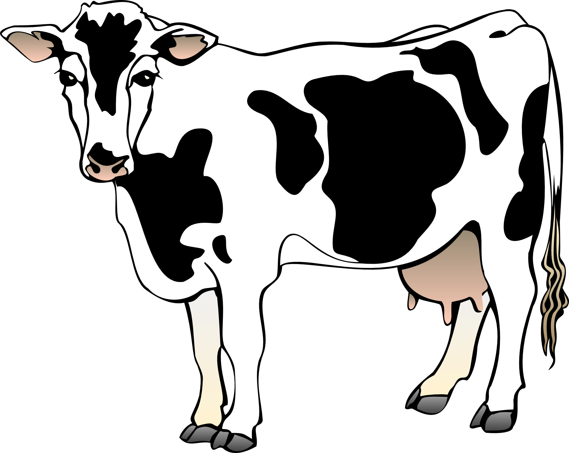 Download Cow vector-cartoon animal | Free PSD,Vector,Icons