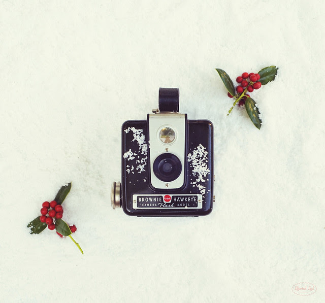The Four Seasons: Winter