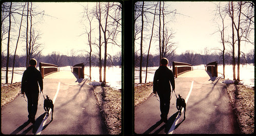 Afternoon Dog Walker