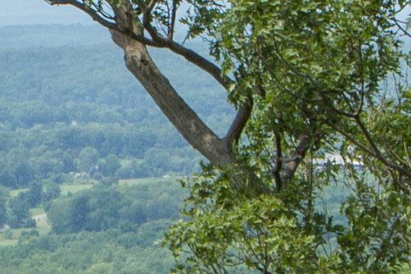 ISO100 landscape detail 600
