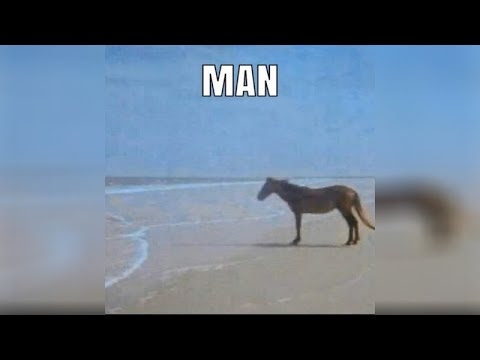 View 24 Man Horse Meme