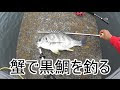 [ベスト] 黒鯛 釣り 164252-黒鯛 釣り 時期