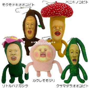 こびとづかん 注 きもかわ系 おおいたんshe