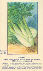 legume12 celeri
