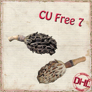 Dhl_CUfree7
