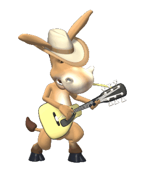 guitar books
 on LILO POST: FUNNY ANIMAL GUITAR ANIMATED
