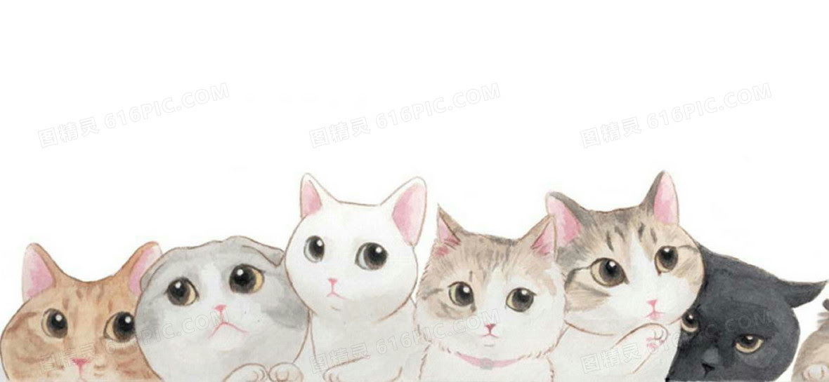 猫背景图片下载 免费高清猫背景设计素材 图精灵
