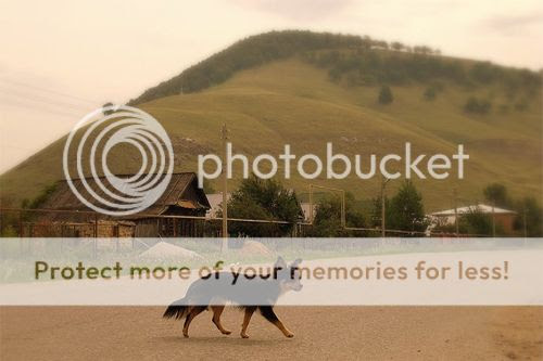 CLICK PARA ENTRAR Y VER MAS FOTOGRAFIAS