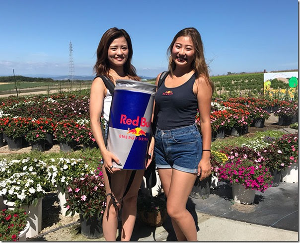 いちご狩り ひまわり 松葉ボタンなどの花が楽しめる知多半島 南知多町 観光農園花ひろばsearch Results For 観光農園花ひろば 愛知県知多郡南知多町 21