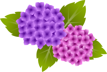 アジサイのイラスト 無料イラスト作成ソフトinkscape インクスケープ の作品集