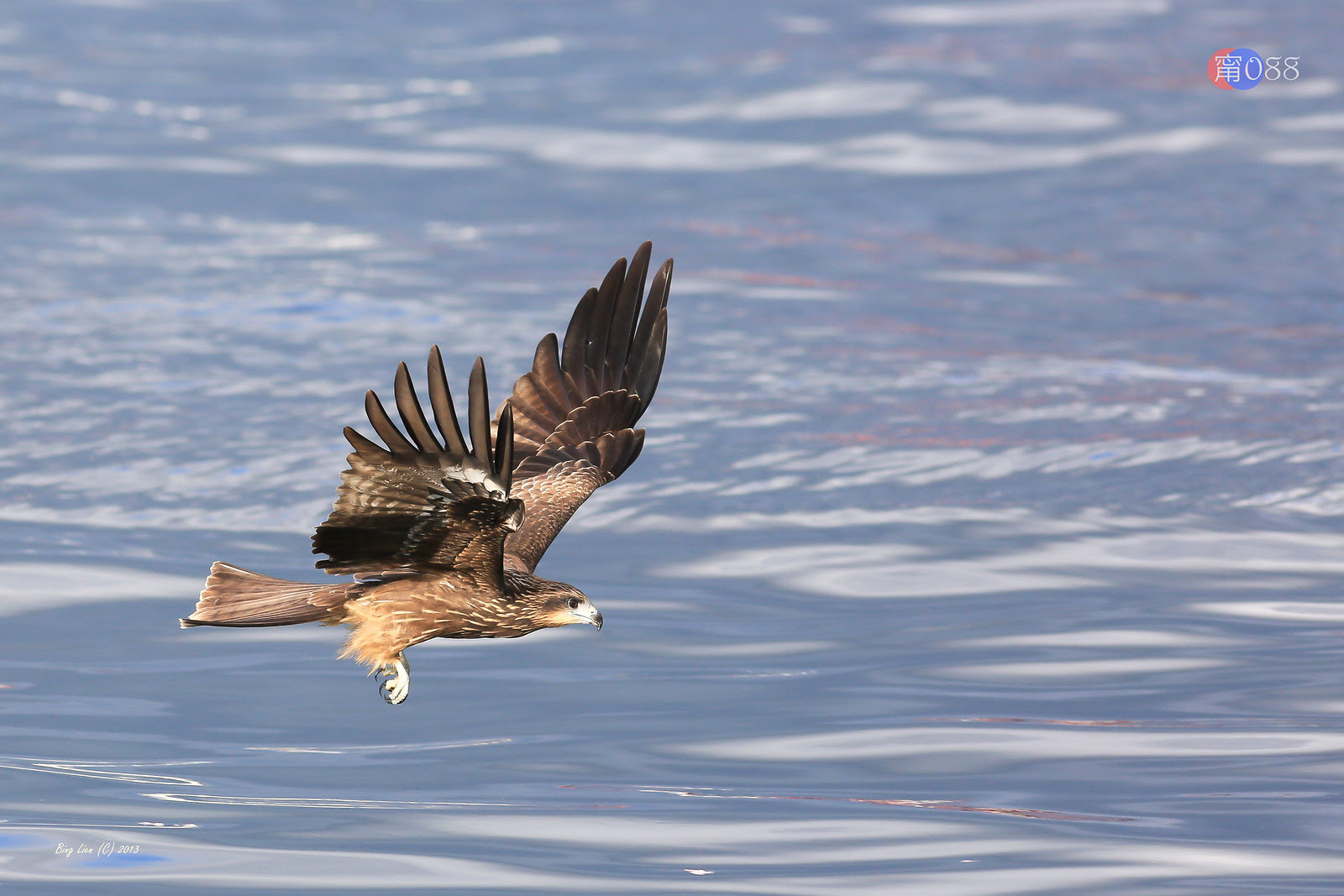 WATER_BING6855_LR