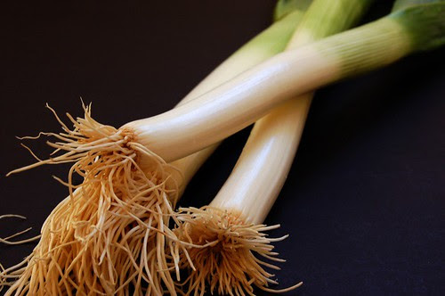 leeks
