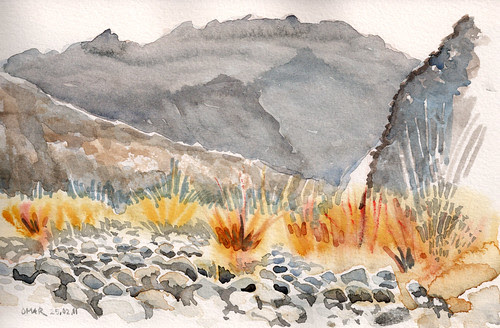 Wadi Fujeira01
