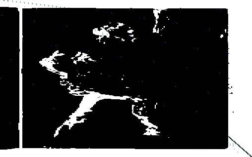 leglegs_raised,_bench,_friar__monk--32312-4044-6306.jpg