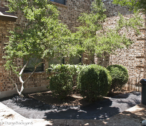 Weekend Fun 20120606