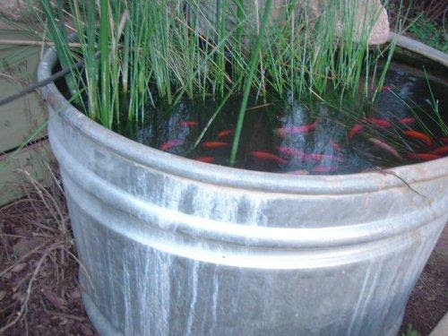 How to build a simple, easy and cheap stuff for you garden.