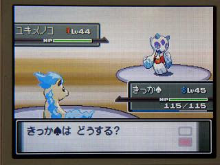 七つの海の空の上 ポケモンプラチナ日記１０ キッサキジムのスズナ戦