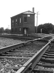 csxblackwhite