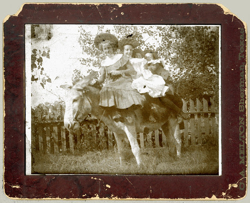 Four on a Donkey