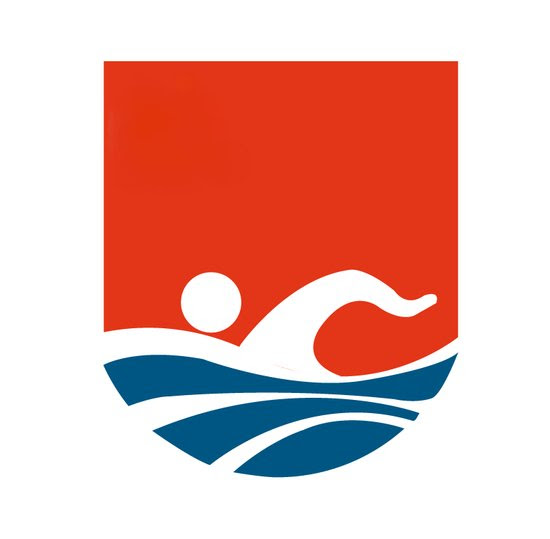 欧冠logo大图_欧冠logo大图分享展示