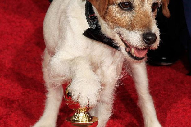 Uggie the dog featured in the film "The Artist"