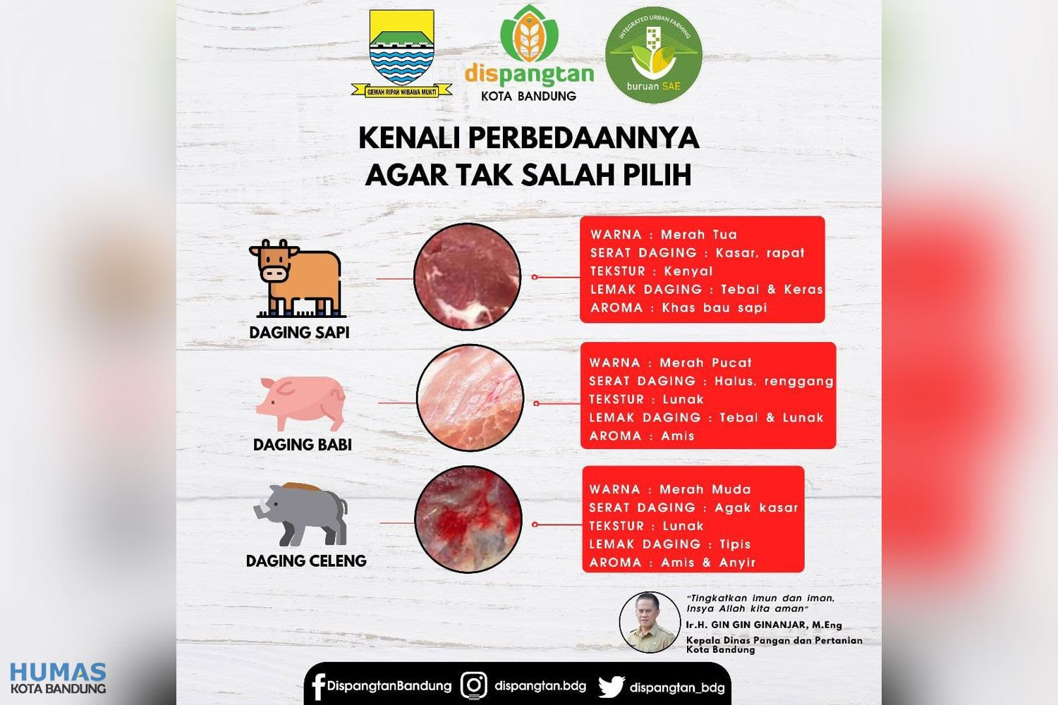 Info Perbedaan Daging Sapi, Babi, dan Celeng - CakrawalaJabar.com