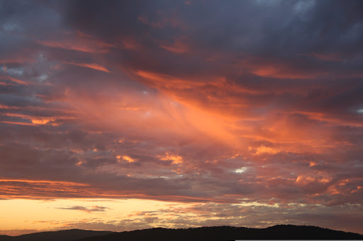 free royalty free images