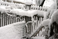 gate