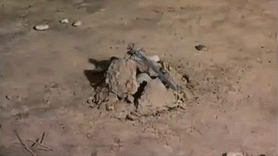 tv show gifs
