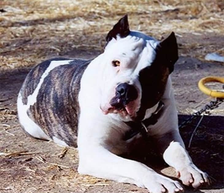 letmewatchthis home alone 2