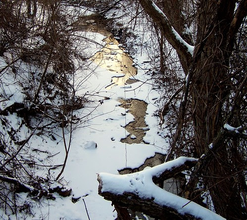 Winter beauty