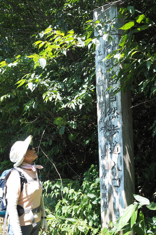 旧三国街道から三国峠を歩く 戻る Home 19 年 8 月 8 木 9 金 古い歴史を物語る旧三国街道から三国峠を歩きました 旧三国街道は自然歩道として整備されています みどりイッパイの街道みちです 可憐な花たちも彩りを添えていました 戊