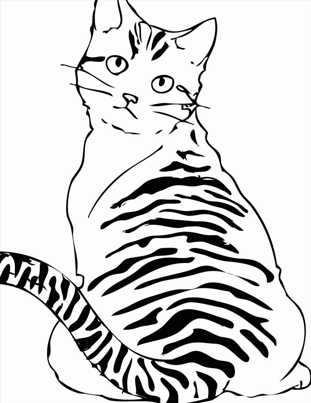 Download Tabby Cat Coloring Pages at GetColorings.com | Free ...